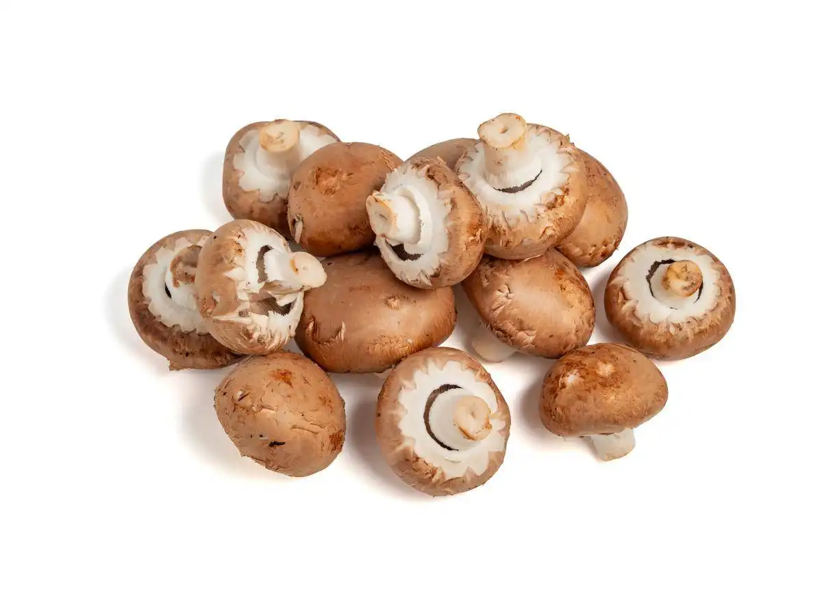 Finding Reliable Ergothioneine Powder Suppliers